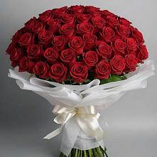 Букет 101 Красная роза Блэк Мэджик в Шатрово