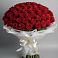 Букет 101 Красная роза Блэк Мэджик в Шатрово