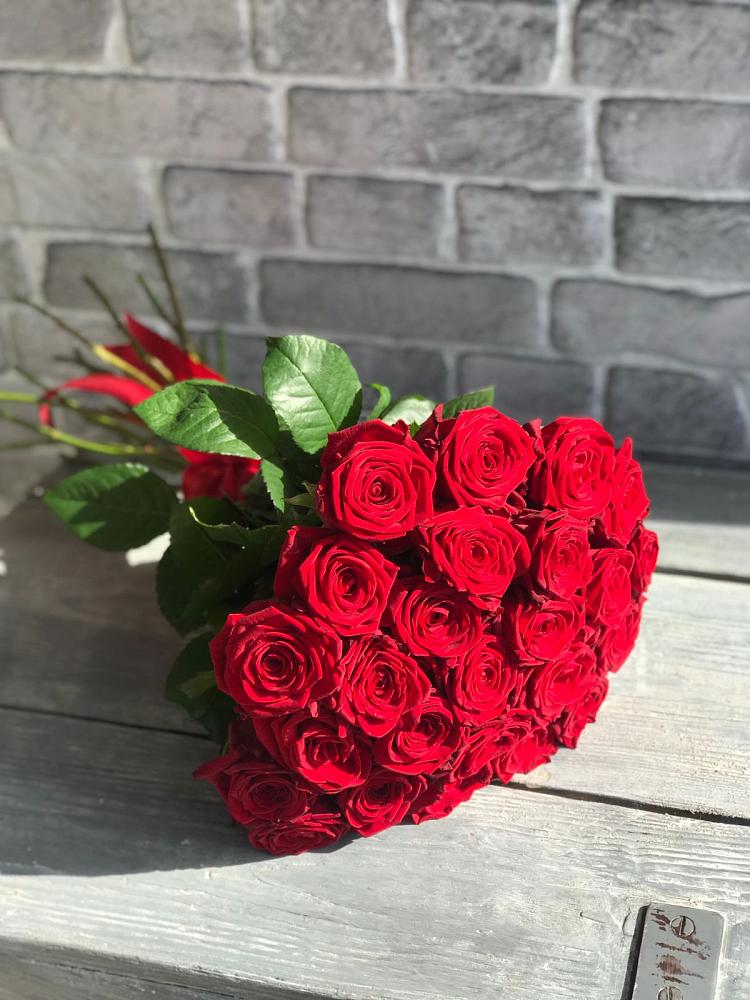 Букет Красные розы Фридом в Шатрово