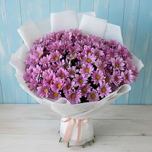Букет цветов из:  Хризантемы в Шатрово