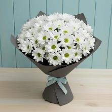 Букет цветов из:  Хризантемы в Шатрово