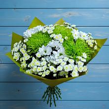 Букет цветов из:  Хризантемы #REPLACE_PRED# Шатрово