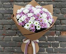 Букет цветов из:  Хризантемы в Шатрово