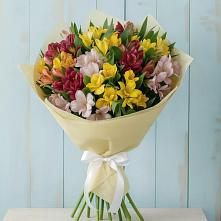 Букет цветов из:  Альстромерии #REPLACE_PRED# Шатрово