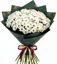 Букет цветов из:  Хризантемы в Шатрово