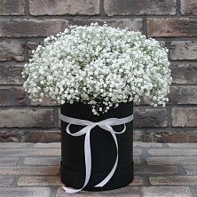 Цветочная композиция из Гипсофила в шляпной коробке в Шатрово