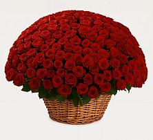 Премиум букет из: Розы в Шатрово